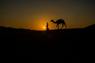 Discover the subtle differences between Lebanese, Syrian, Jordanian, and Palestinian Arabic—and find out which one best suits your goals.